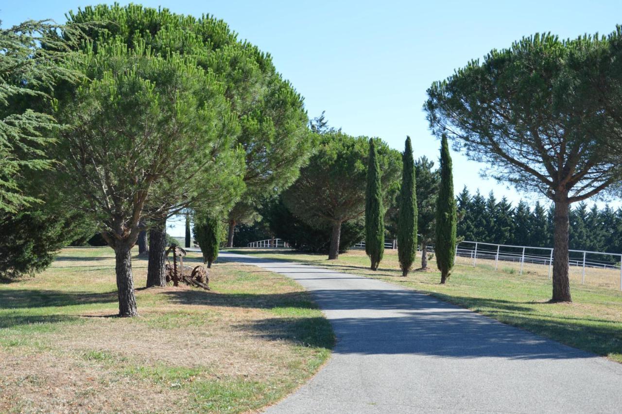 Les Moineaux Du Domaine Du Moulin Villa Etables  Buitenkant foto